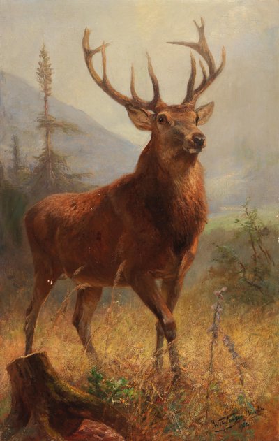 Trophäenhirsch in einer offenen Landschaft von Anton Weinberger